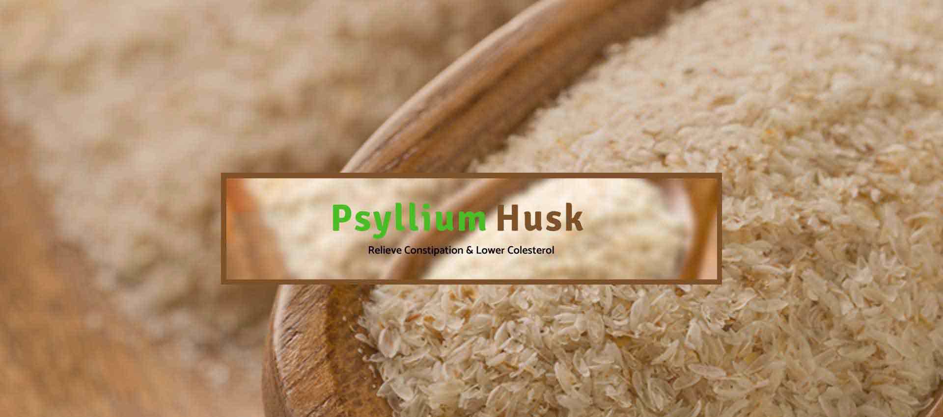 Psyllium Husk Manufacturers in Surat