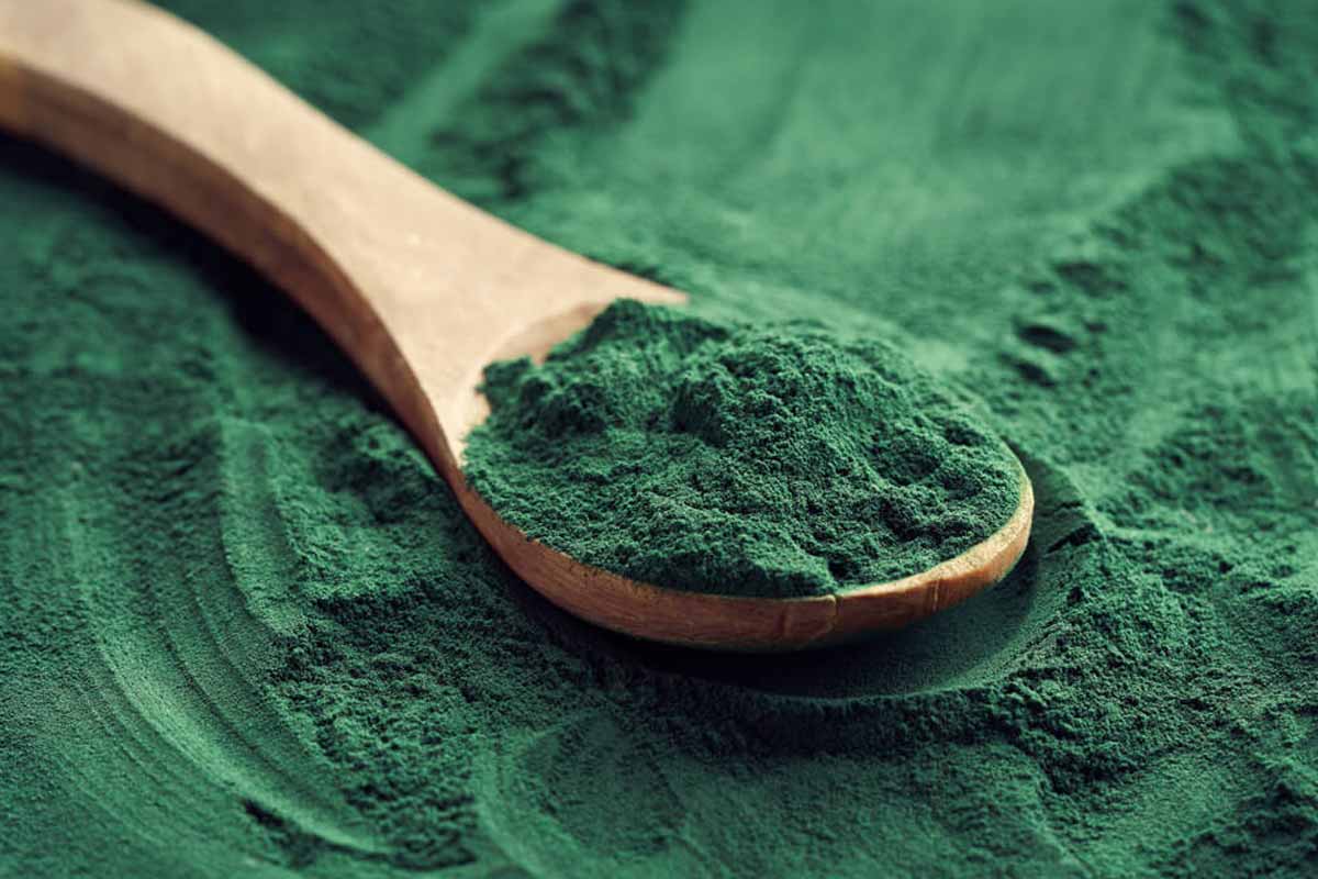 Powerhouse Of Nature: 3 Reasons Spirulina Powder Is Your Daily Wellness Hero