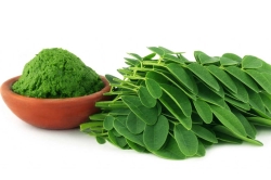 Gut Instinct Supercharge Your Digestive Health with Moringa and Psyllium