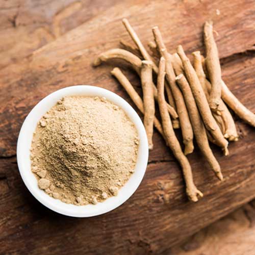 Ashwagandha Powder Suppliers in India