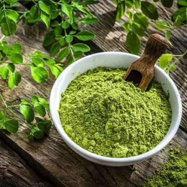 Moringa Powder Manufacturers in Netherlands