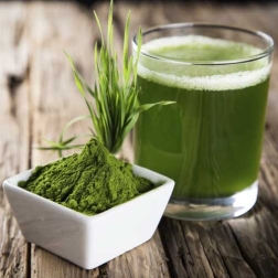 Spirulina Powder Suppliers in Croatia