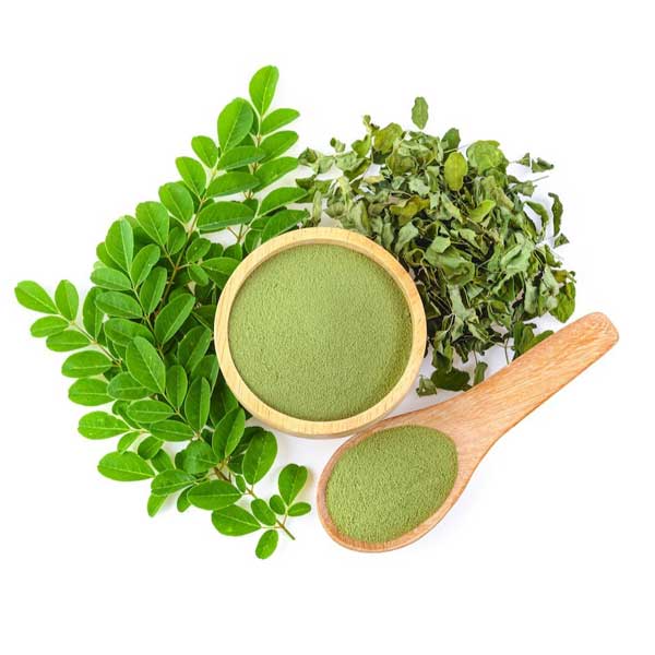 Moringa Herbs Powder Manufacturers, Suppliers, Exporters in Pune