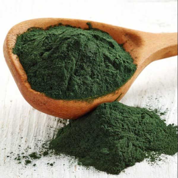 Spirulina Organic Powder Manufacturers, Suppliers, Exporters in Cyprus