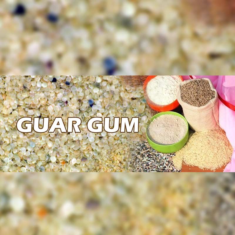 Guar Gum Manufacturers in Maharashtra, Guar Gum Powder Suppliers