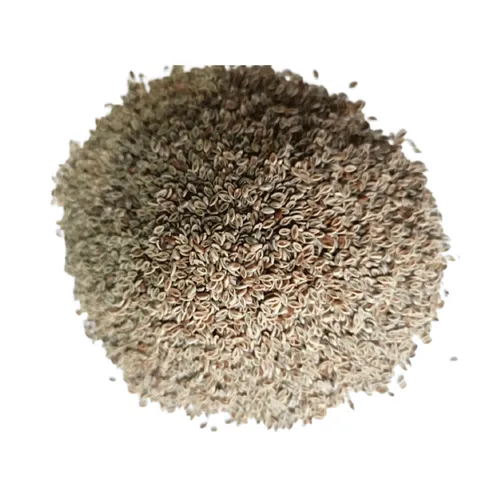 Psyllium Husk Seed Manufacturers, Suppliers, Exporters in Ecuador